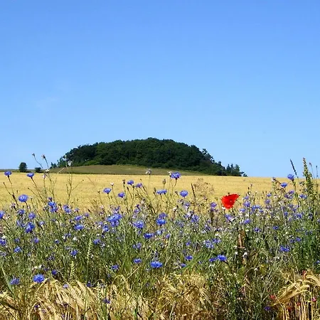 Modernes Mit Eigener Terrasse Und Kleinem Garten - Liva Tatil Evi *