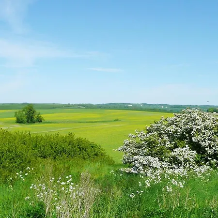 Modernes Mit Eigener Terrasse Und Kleinem Garten - Liva Tatil Evi