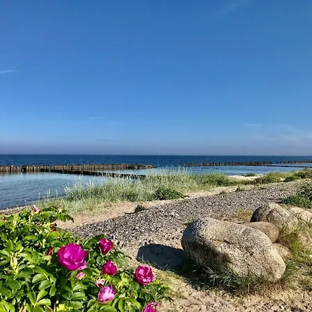 Tatil Evi Modernes Mit Eigener Terrasse Und Kleinem Garten - Liva Dranske