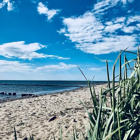 Modernes Mit Eigener Terrasse Und Kleinem Garten - Liva Tatil Evi Dranske