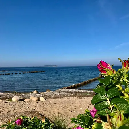 Tatil Evi Modernes Mit Eigener Terrasse Und Kleinem Garten - Liva Dranske